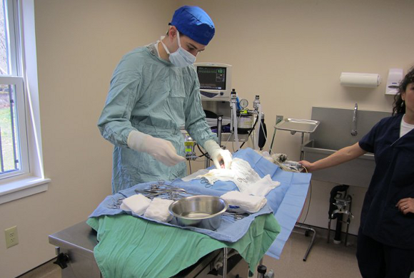 Surgery
