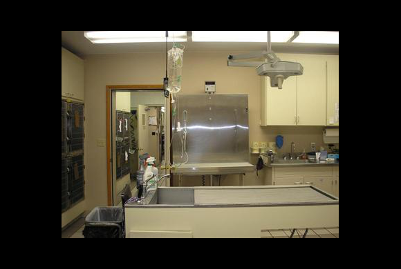 Treatment Room