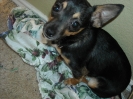 Sancho!!!