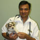 Dr Vijay Gudipally D.V.M. M.S.