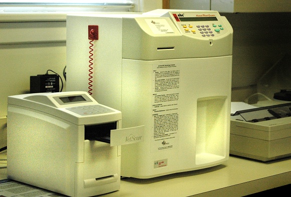 In House Laboratory