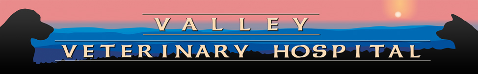 Valley Veterinary Hospital