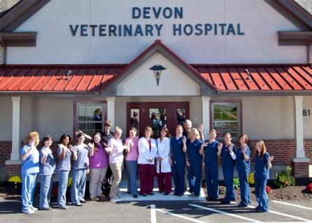 DVH STAFF