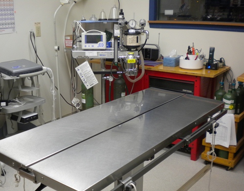Surgical Suite