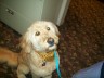 Mylee