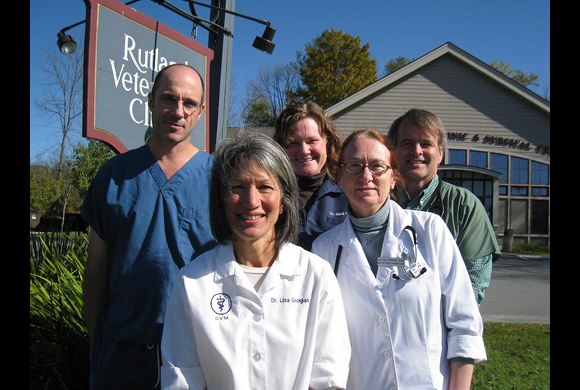Our Veterinarians