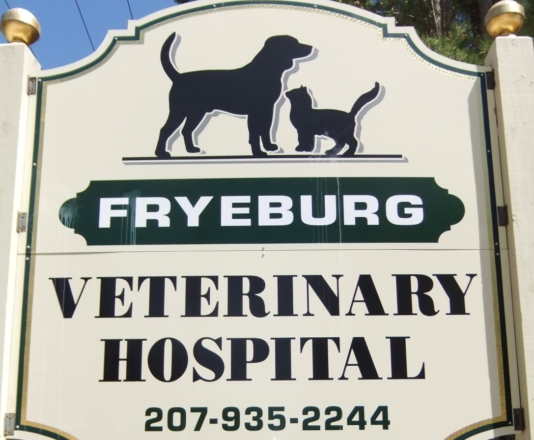 Fryeburg Veterinary Hospital