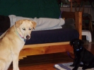 Sandy & Zeke