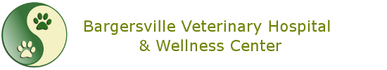 Bargersville Veterinary Hospital & Wellness Center