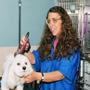 Deb Bostrom
