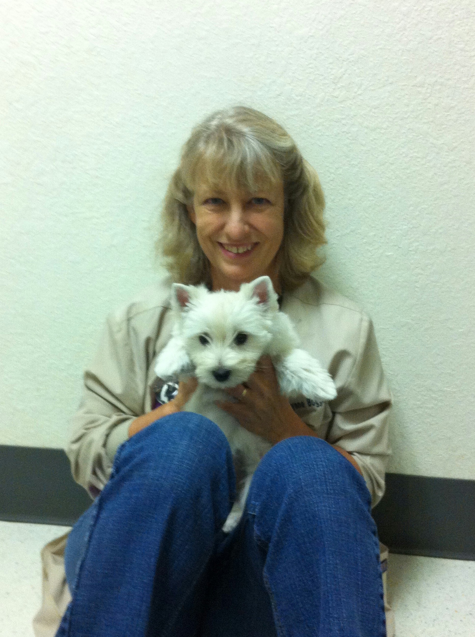 Griffith Small Animal Hospital, Our Veterinarians and Staff