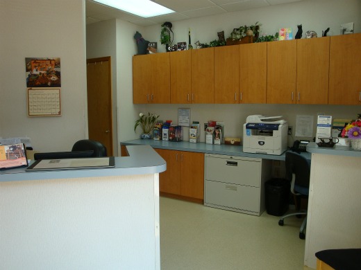 The Cat Hospital of Fairfax, Inc.