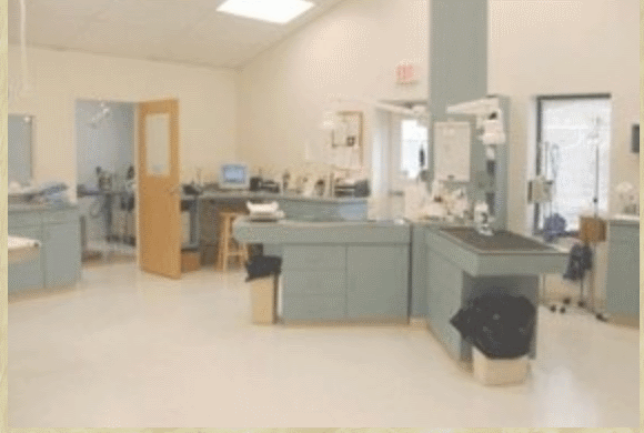 Treatment Area