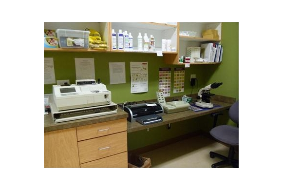 Lab