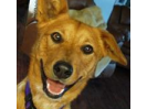 Kona