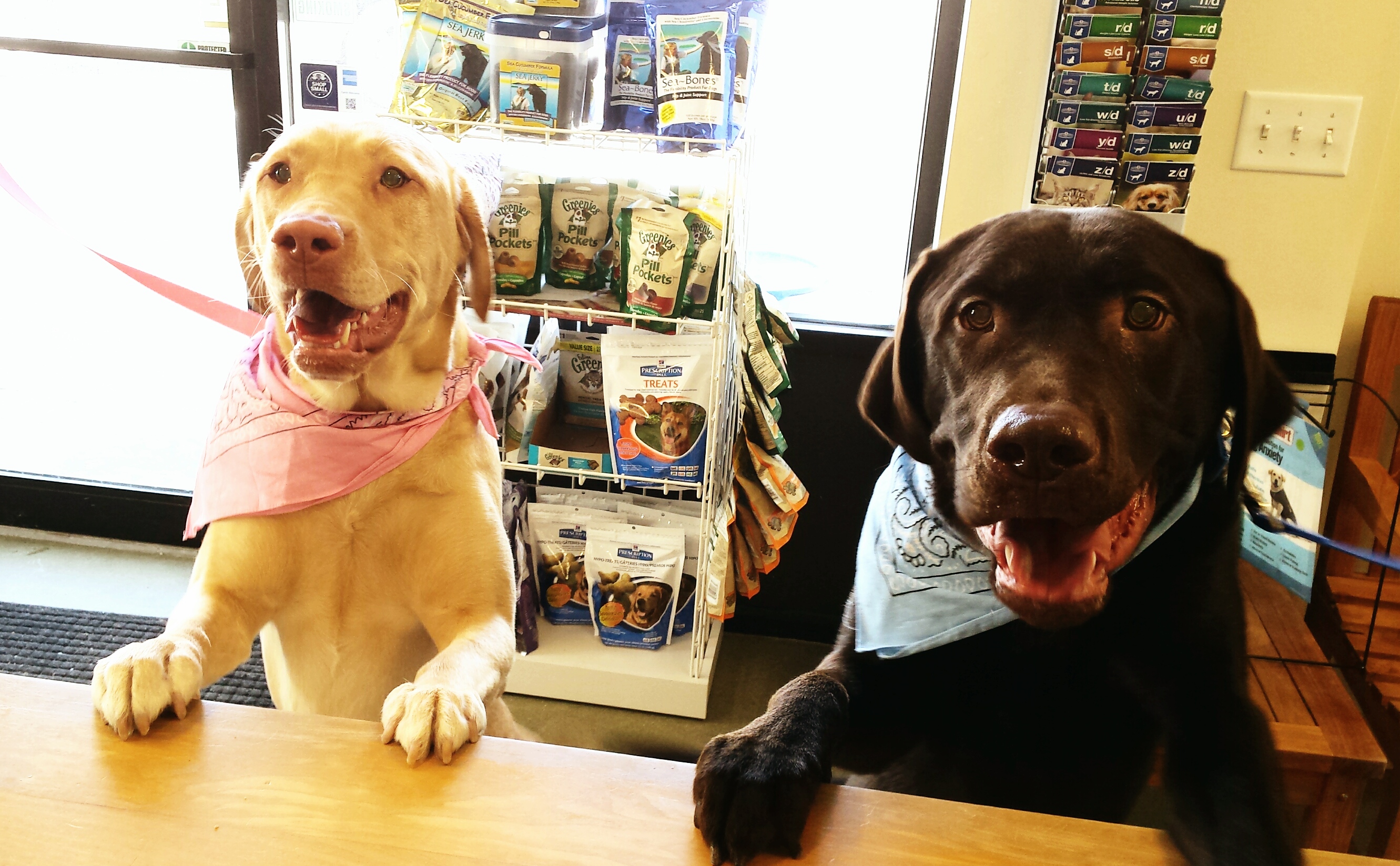 Poland Animal Hospital, 1197 Maine St, Poland, ME 04274