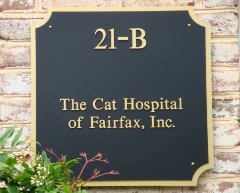 The Cat Hospital of Fairfax, Inc.