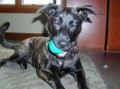 Minnie