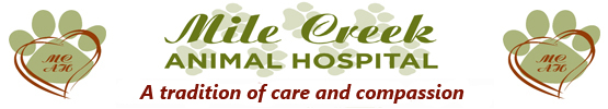 Staff at Mile Creek Animal Hospital