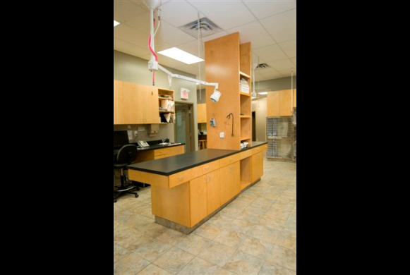 Treatment Area