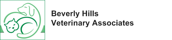 Beverly Hills Veterinary Associates