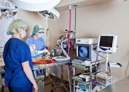 SURGICAL SUITE