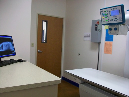 Radiology