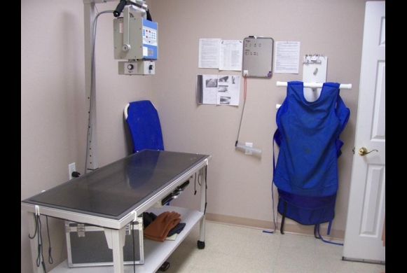 Radiology