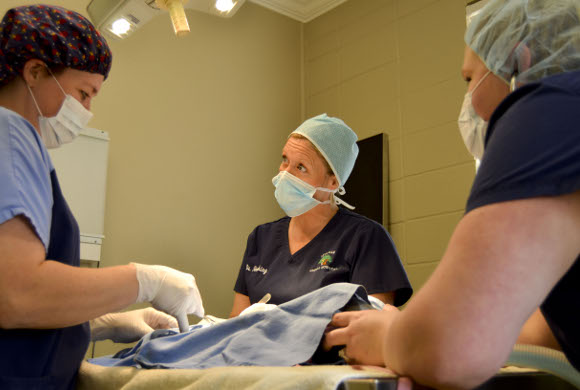 Surgery