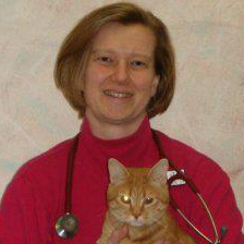Dr. Susan Reed