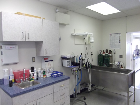 TREATMENT AREA