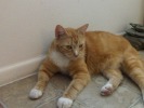 Diego