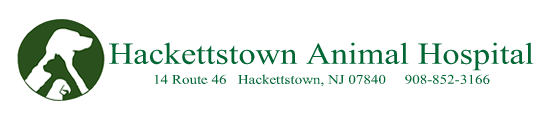 Hackettstown Animal Hospital
