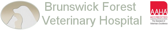 Brunswick Forest Veterinary Hospital