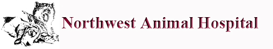 Northwest Animal Hospital