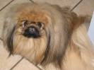 Charlie