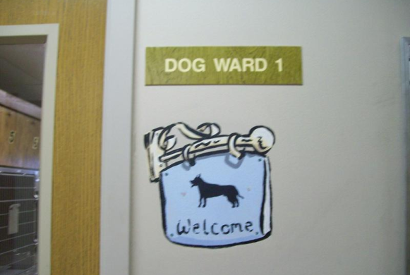 Our Dog Wards have Single and Double cages available for our furry friends.