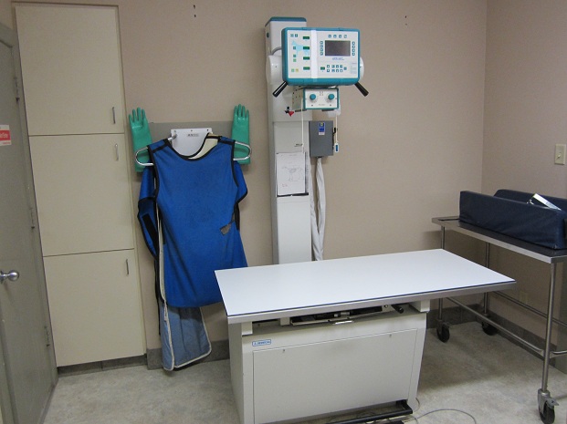 Radiology
