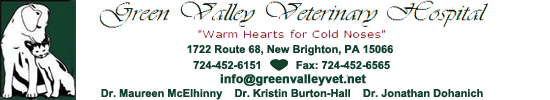 Green Valley Veterinary Hospital