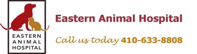 Eastern Animal Hospital