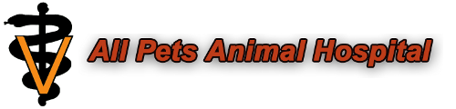 All Pets Animal Hospital