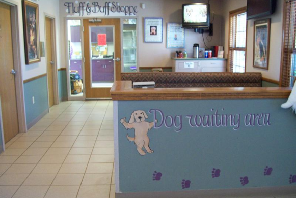 Dog Waiting Area