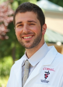Jared B. Coren, DVM