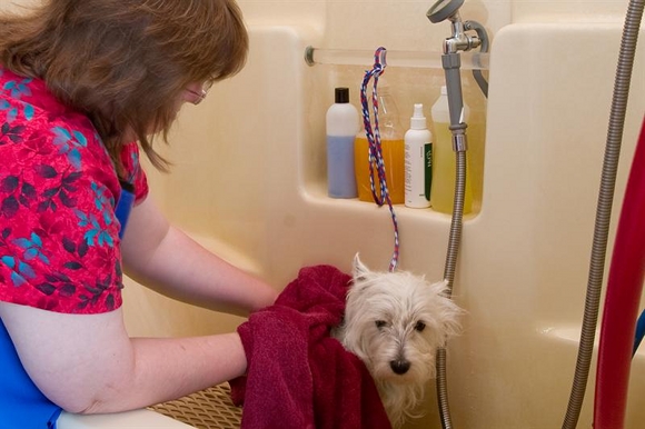 The Grooming Room