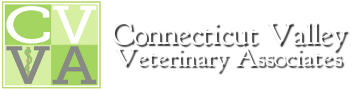 Connecticut Valley Veterinary Associates