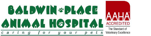 Baldwin Place Animal Hospital