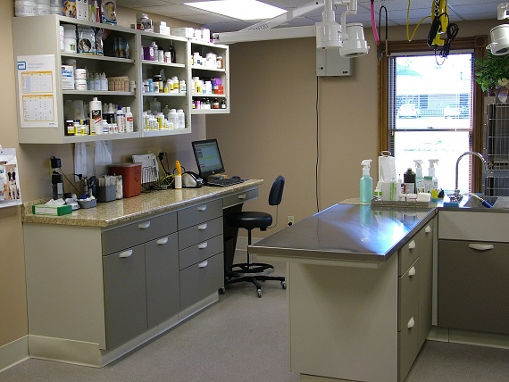 Treatment / Pharmacy
