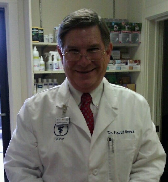 Dr. David P Hesse, D.V.M, Owner