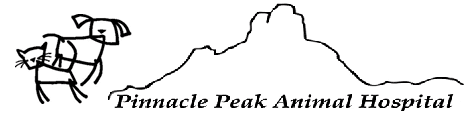 Pinnacle Peak Animal Hospital