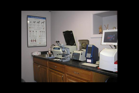 Lab